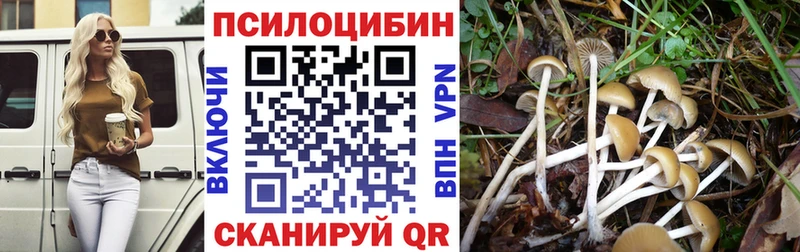 ОМГ ОМГ вход  магазин    Тотьма  Псилоцибиновые грибы прущие грибы 